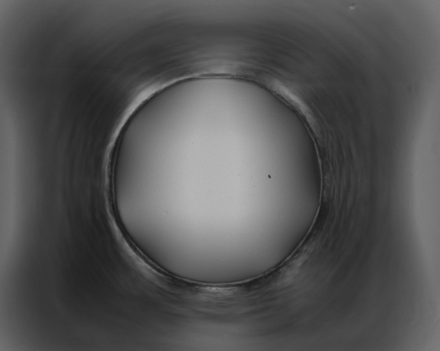 X0000086991483200705071427