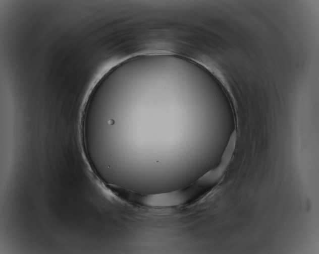 X0000086991488200705071426