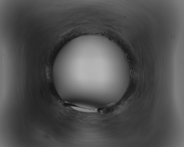 X0000086991490200705071426