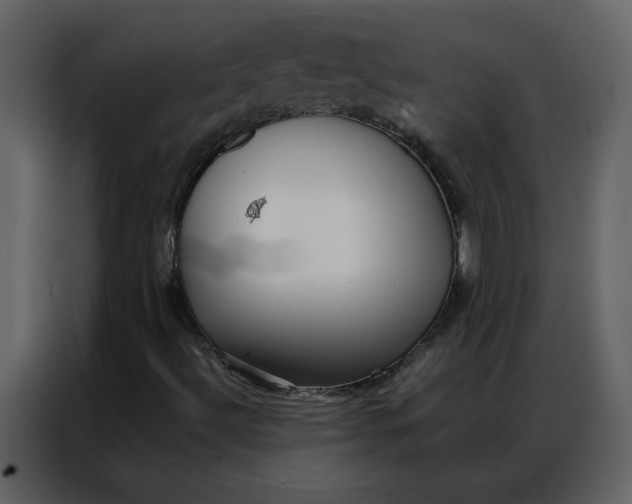 X0000086991492200705071426