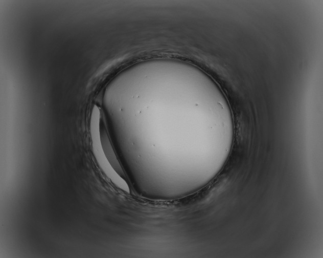 X0000086991494200705071426