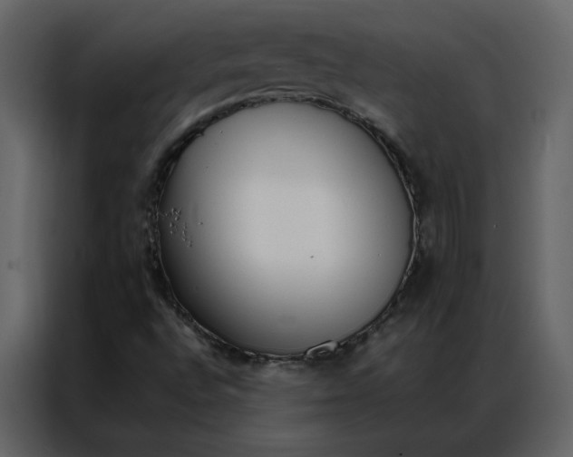 X0000086991496200705071426