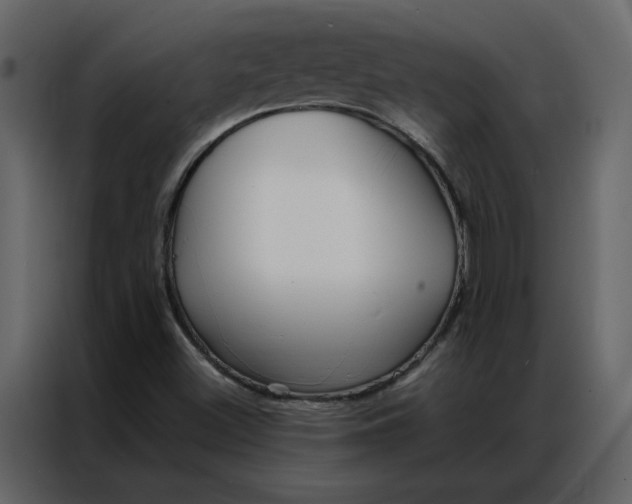 X0000086991500200705071426