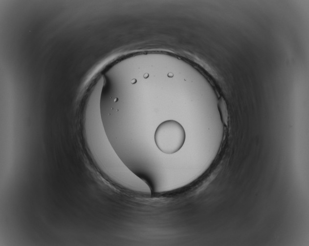 X0000086991502200705071426