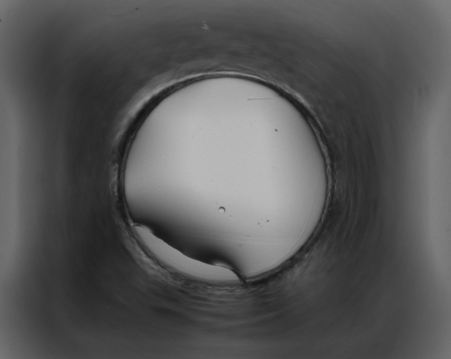 X0000086991503200705071426