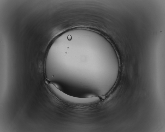 X0000086991505200705071426