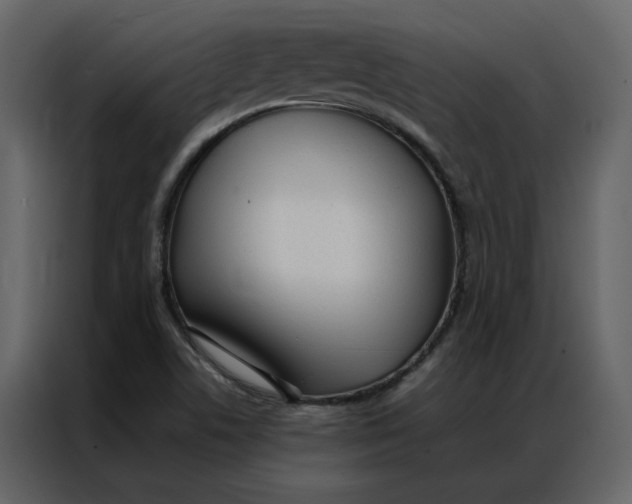 X0000086991506200705071426