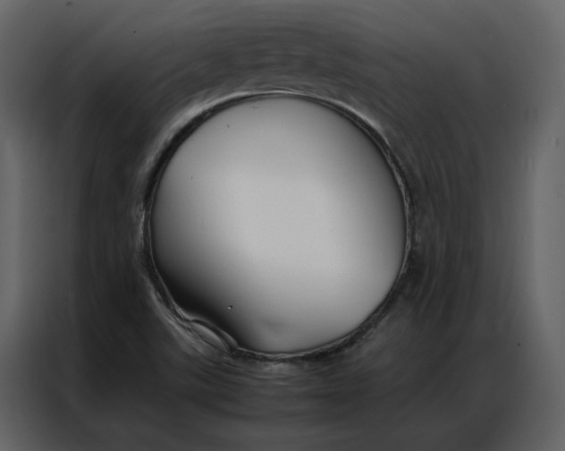 X0000086991507200705071426