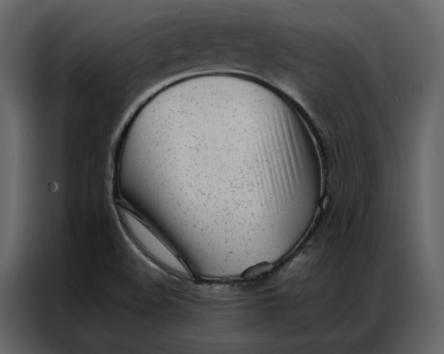 X0000086991508200705071426