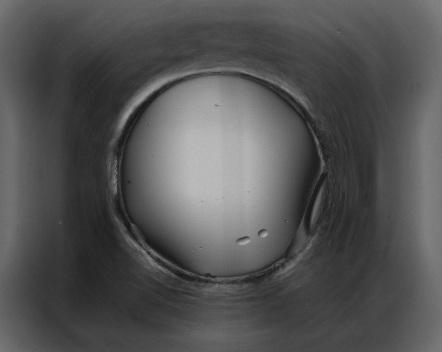 X0000086991510200705071426