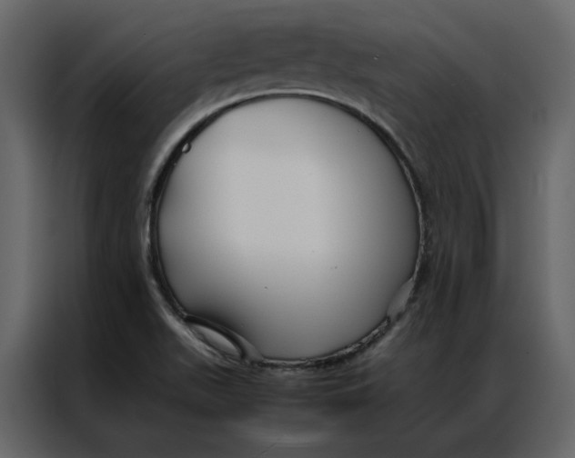 X0000086991511200705071426