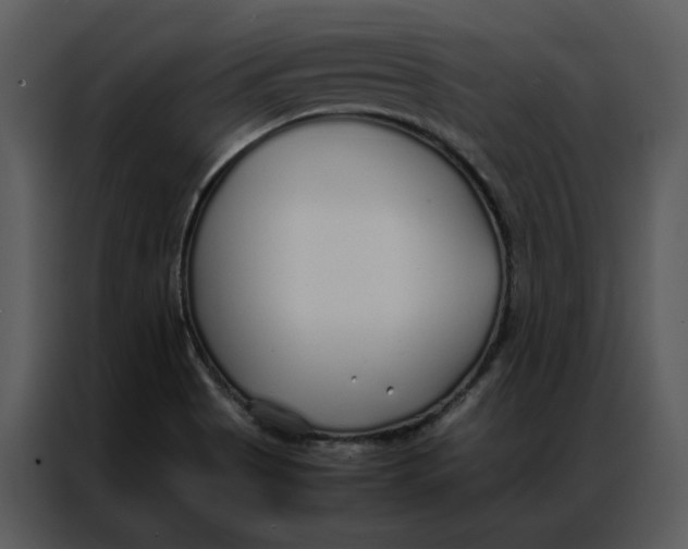 X0000086991513200705071426