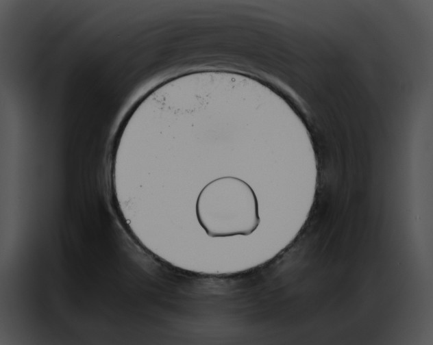 X0000086991514200705071426