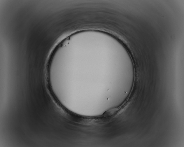 X0000086991517200705071426