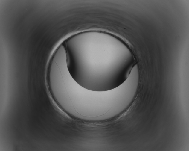 X0000086991518200705071426