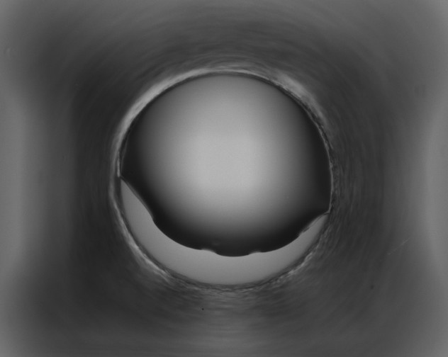 X0000086991520200705071426