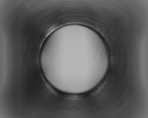 X0000086991521200705071426