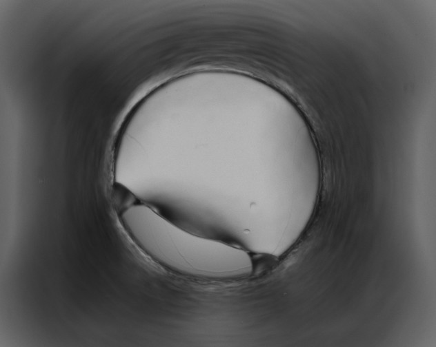 X0000086991522200705071426