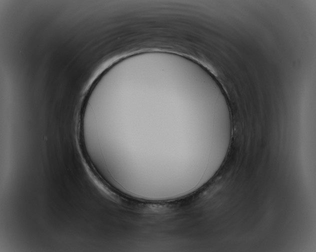 X0000086991523200705071426