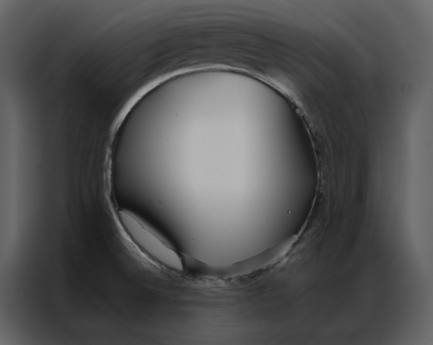 X0000086991524200705071426