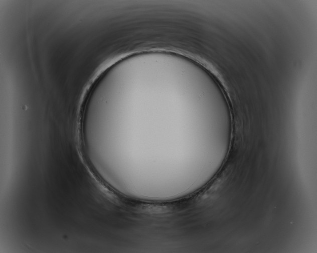 X0000086991525200705071426