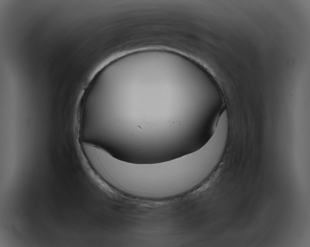 X0000086991526200705071426