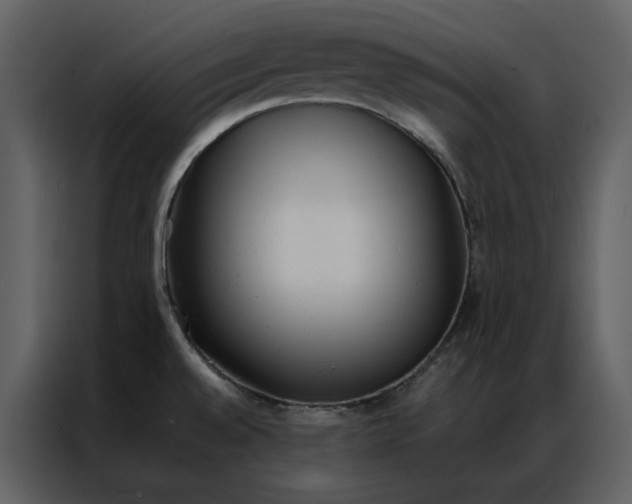 X0000086991528200705071426