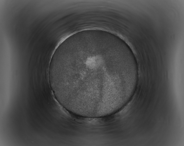 X0000086991529200705071426