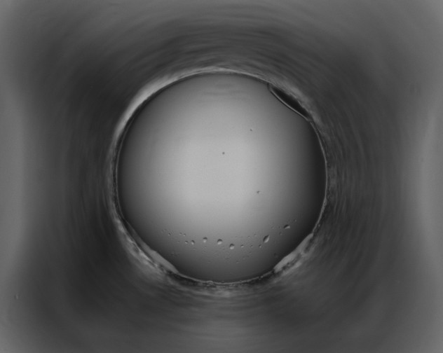 X0000086991530200705071426