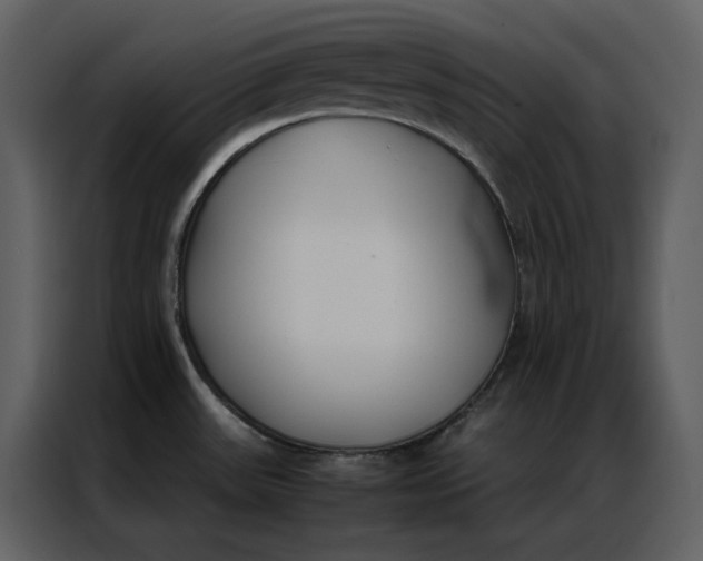 X0000086991531200705071426