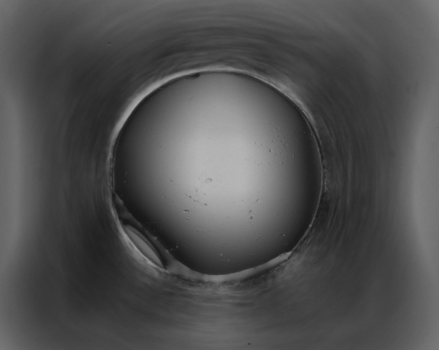 X0000086991532200705071426