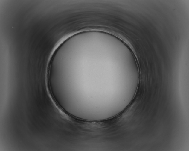 X0000086991533200705071426