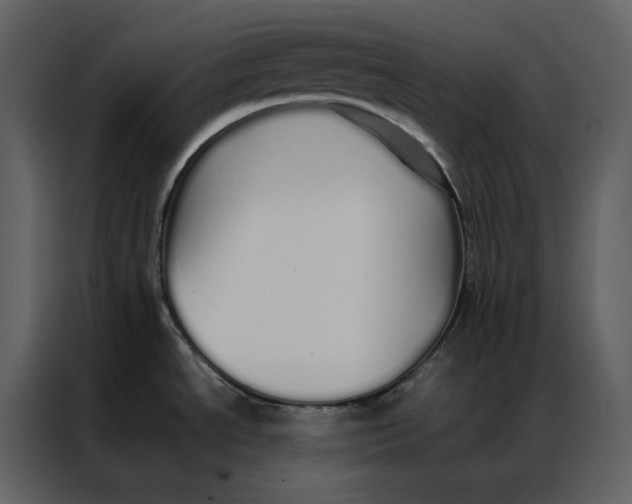 X0000086991534200705071426