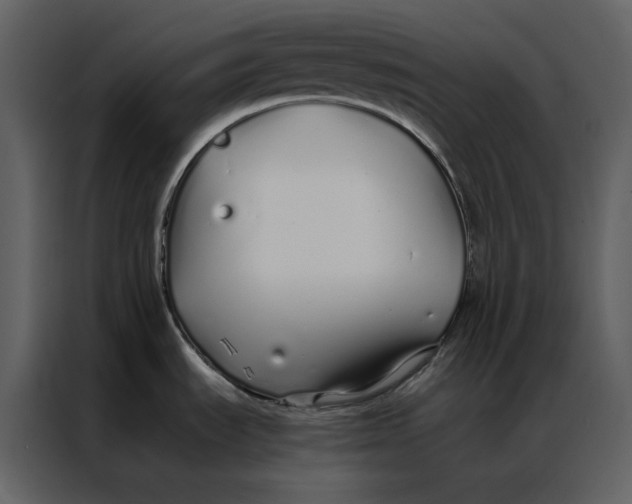 X0000086991535200705071426