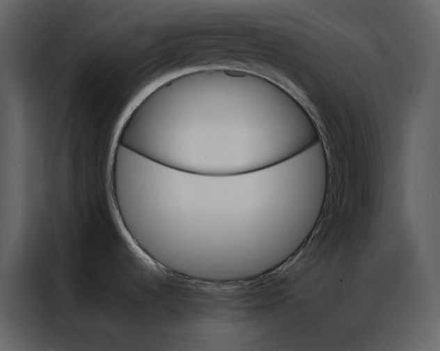 X0000086991536200705071426