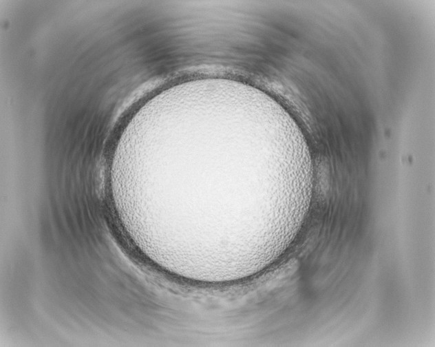 X0000086990016200705141752