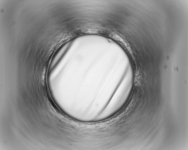 X0000086990018200705141752