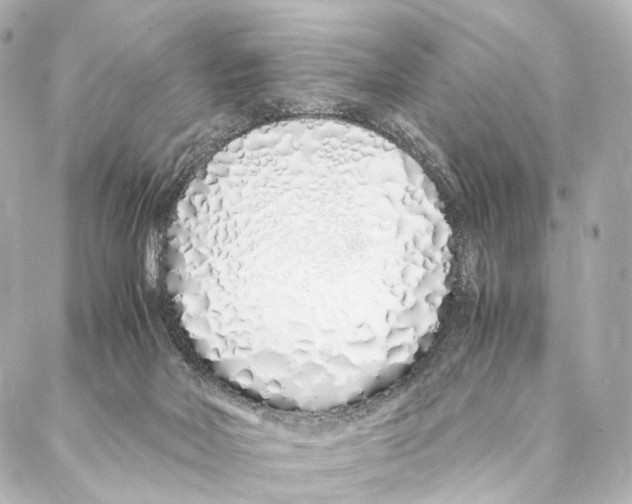 X0000086990026200705141752