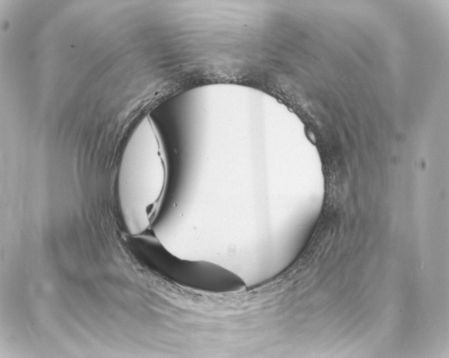 X0000086990027200705141752