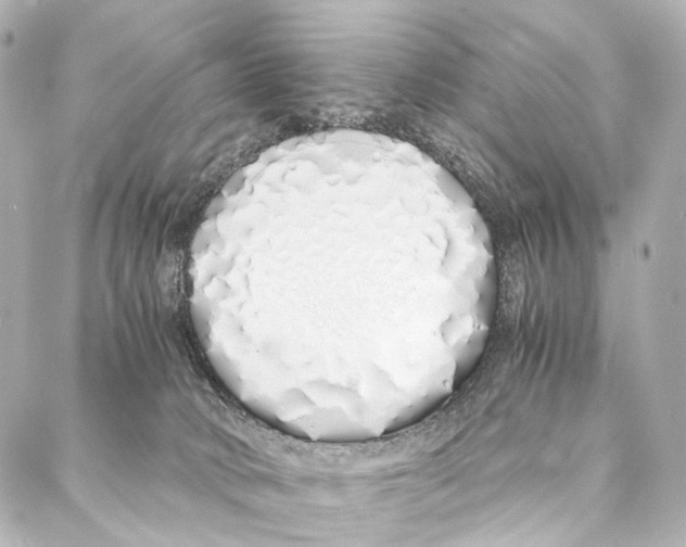 X0000086990034200705141752