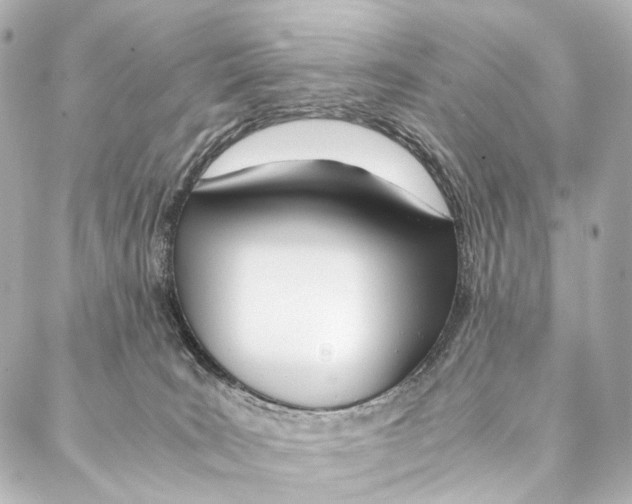 X0000086990035200705141752