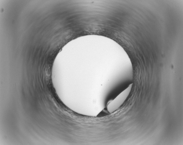 X0000086990040200705141752