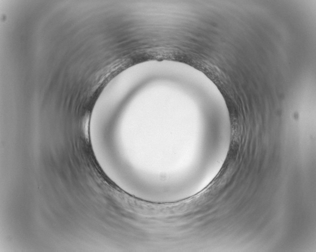 X0000086990047200705141752