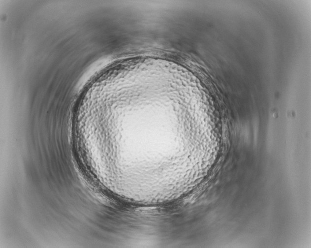 X0000086990054200705141751