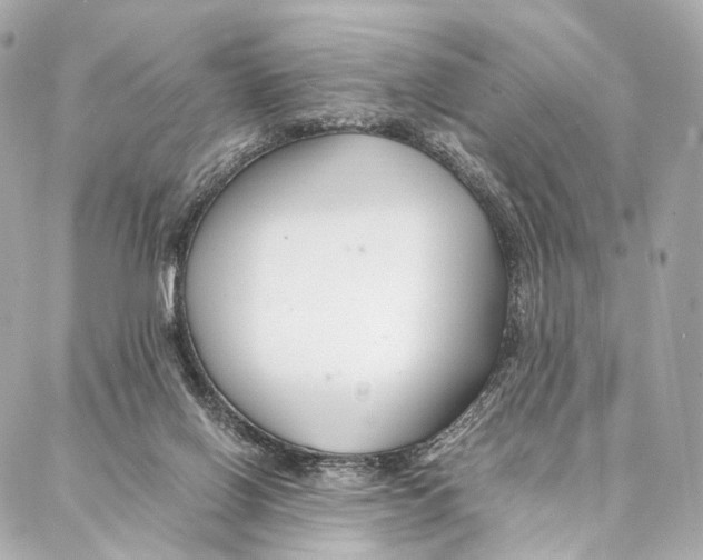 X0000086990070200705141751