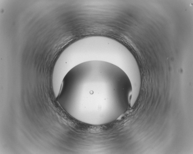 X0000086990076200705141751