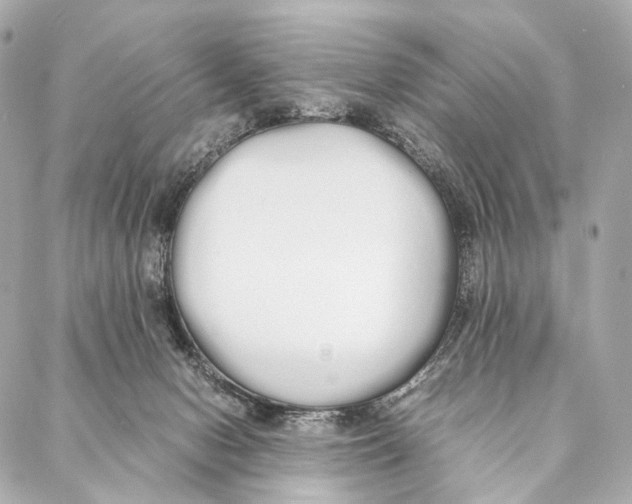 X0000086990078200705141751