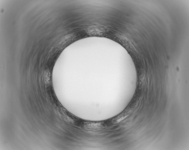 X0000086990081200705141751