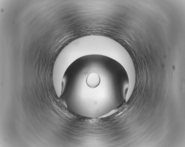 X0000086990092200705141752