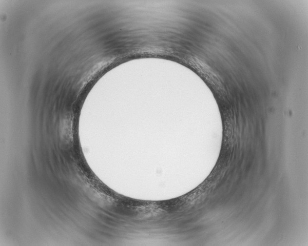 X0000086990112200705141751